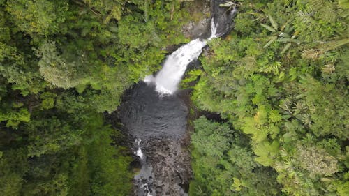 The aerial scenic documentary footage of the hidden waterfall the dense forest