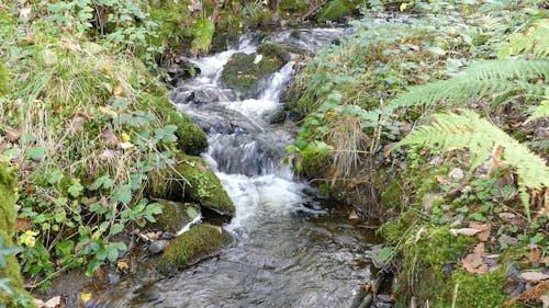 Stream Water Flowing Over Rocks