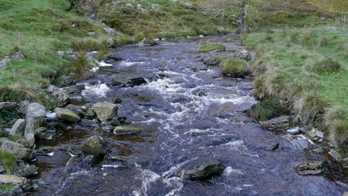 Flowing Stream With Rocks In A Grassy Landscape