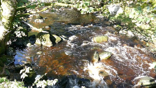 Flowing Water In A Rocky Stream