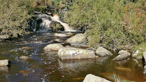 Rhiwargor Waterfall In North Wales
