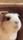 tiny
