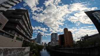高清实拍视频素材高清视频视频素材视频素材