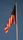 best wallpaper