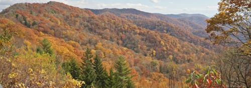 Great Smoky Mountain National Park in Fall