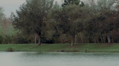 Hombre En Bicicleta En El Parque