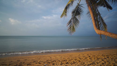 Vista Panorâmica De Uma Praia