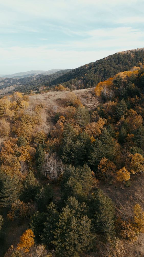 Autumn Landscape Videos, Download The BEST Free 4k Stock Video Footage ...