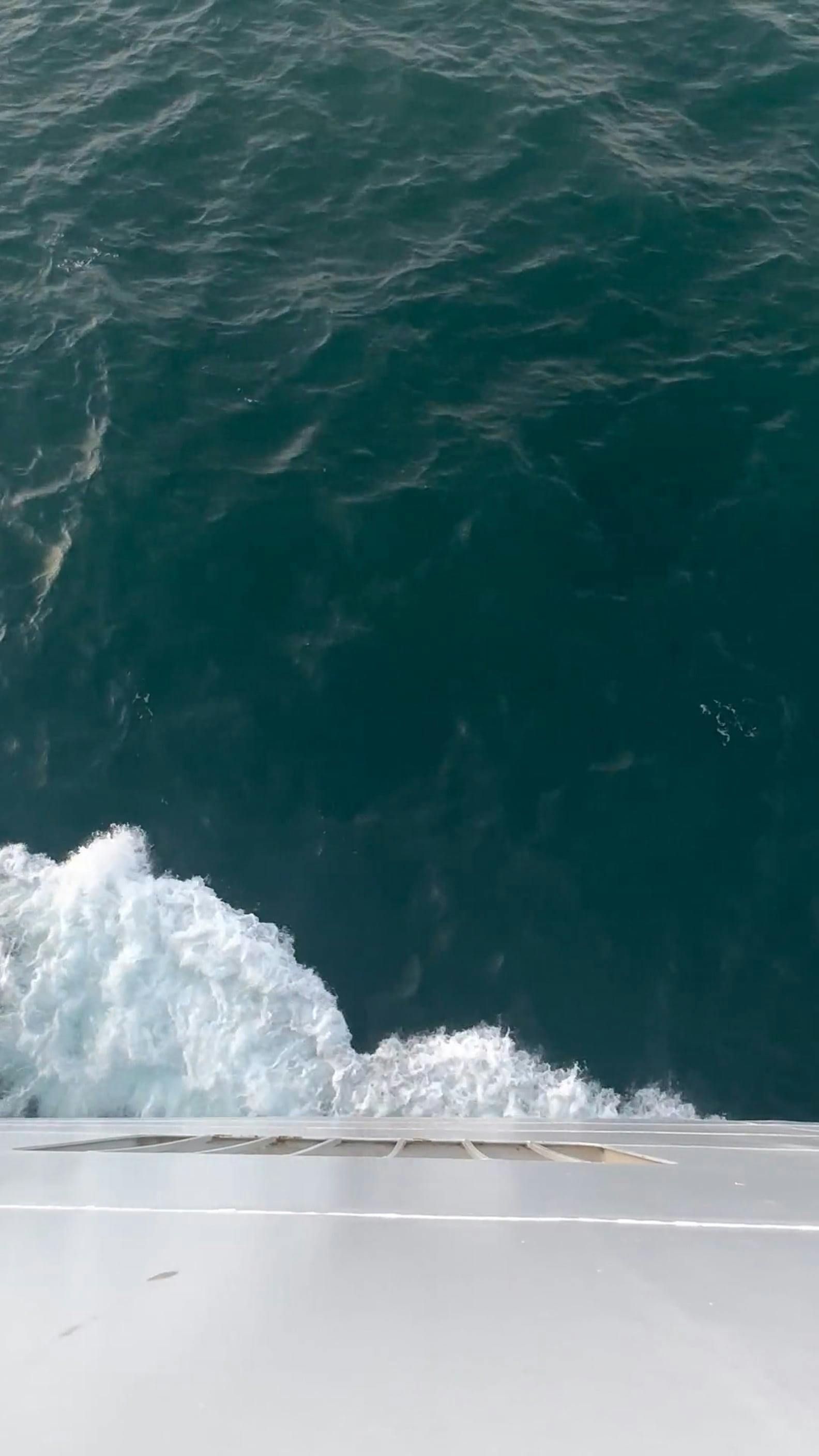 Video by Maurice Supple