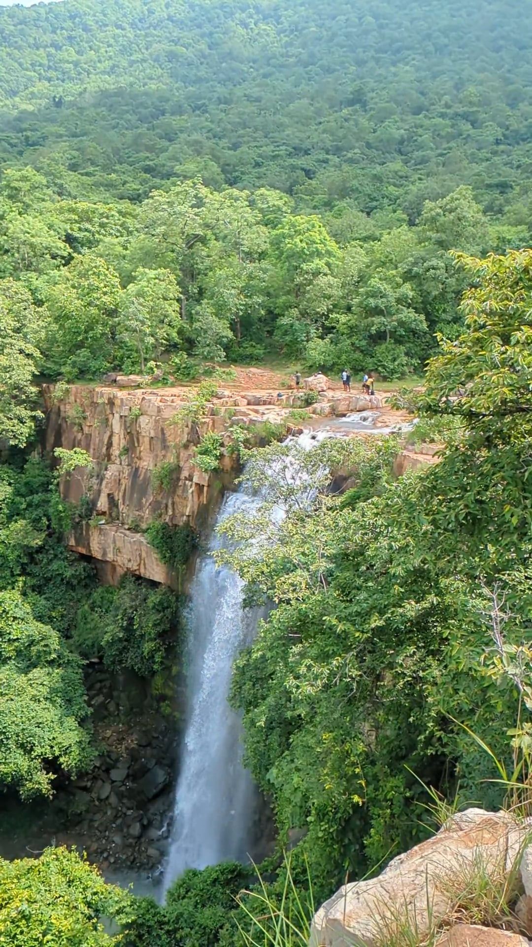 A waterfall in the middle of a forest Free Stock Video Footage, Royalty ...