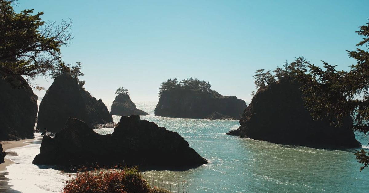 Pnw Rocks Pacific Northwest coastal rock formations Free Stock Video Footage ...