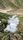 amazing nature