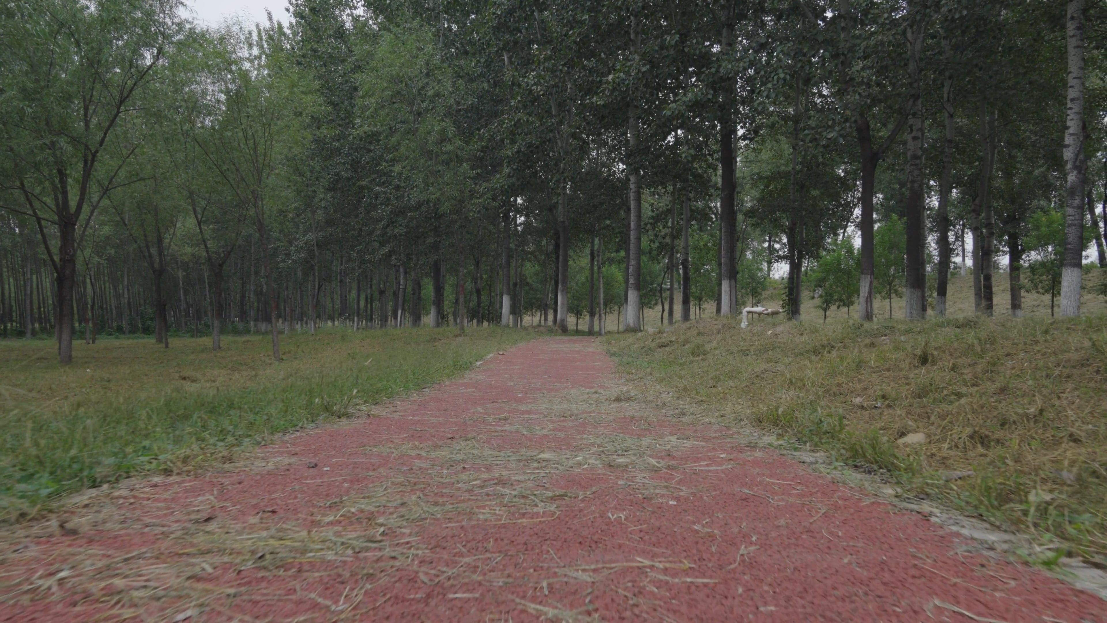 A red path in the middle of a park Free Stock Video Footage, Royalty ...