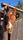 horse head