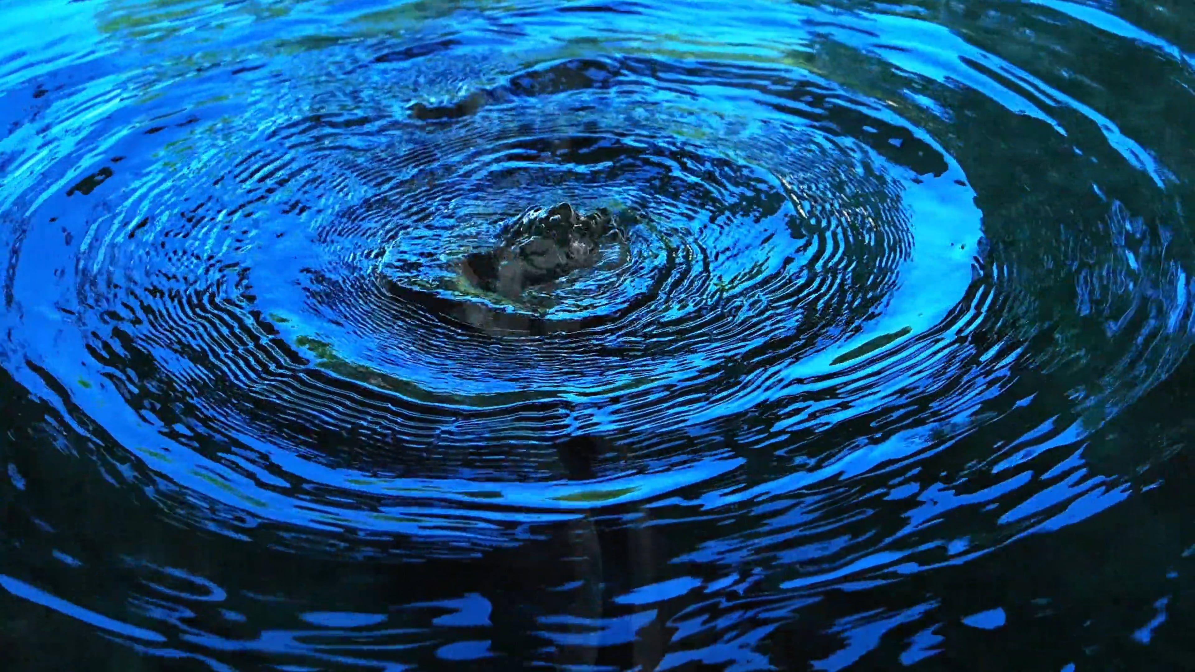 A blue water ripple with a blue circle in the middle Free Stock Video ...