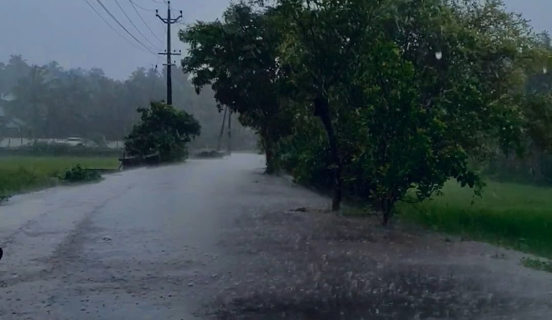 Beautiful rain in kerala village Free Stock Video Footage, Royalty-Free ...
