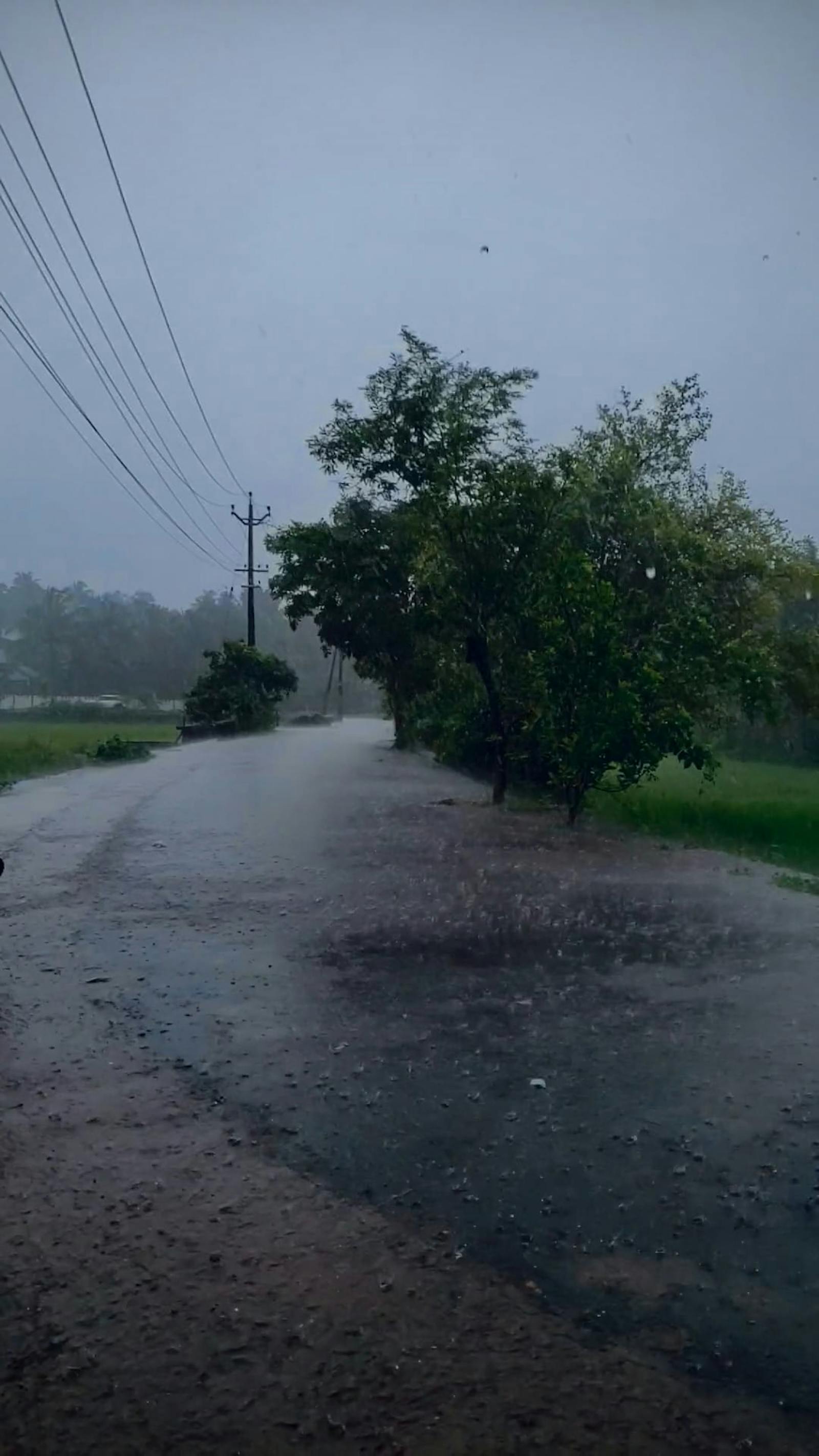 Mallu+Kerala+Mms Videos, Download The BEST Free 4k Stock Video Footage
