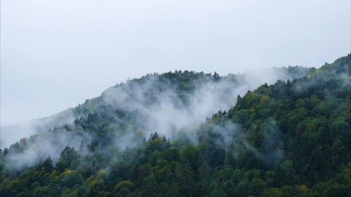Nebel_Landschaft