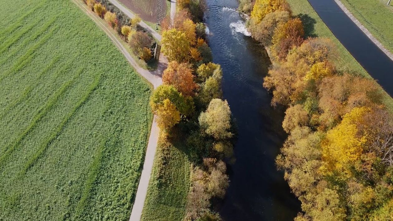 Aerial view of a river and a field with trees Free Stock Video Footage ...