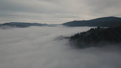 霧の風景
