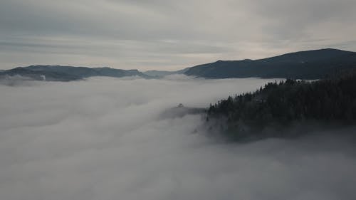 Uma Paisagem De Nevoeiro