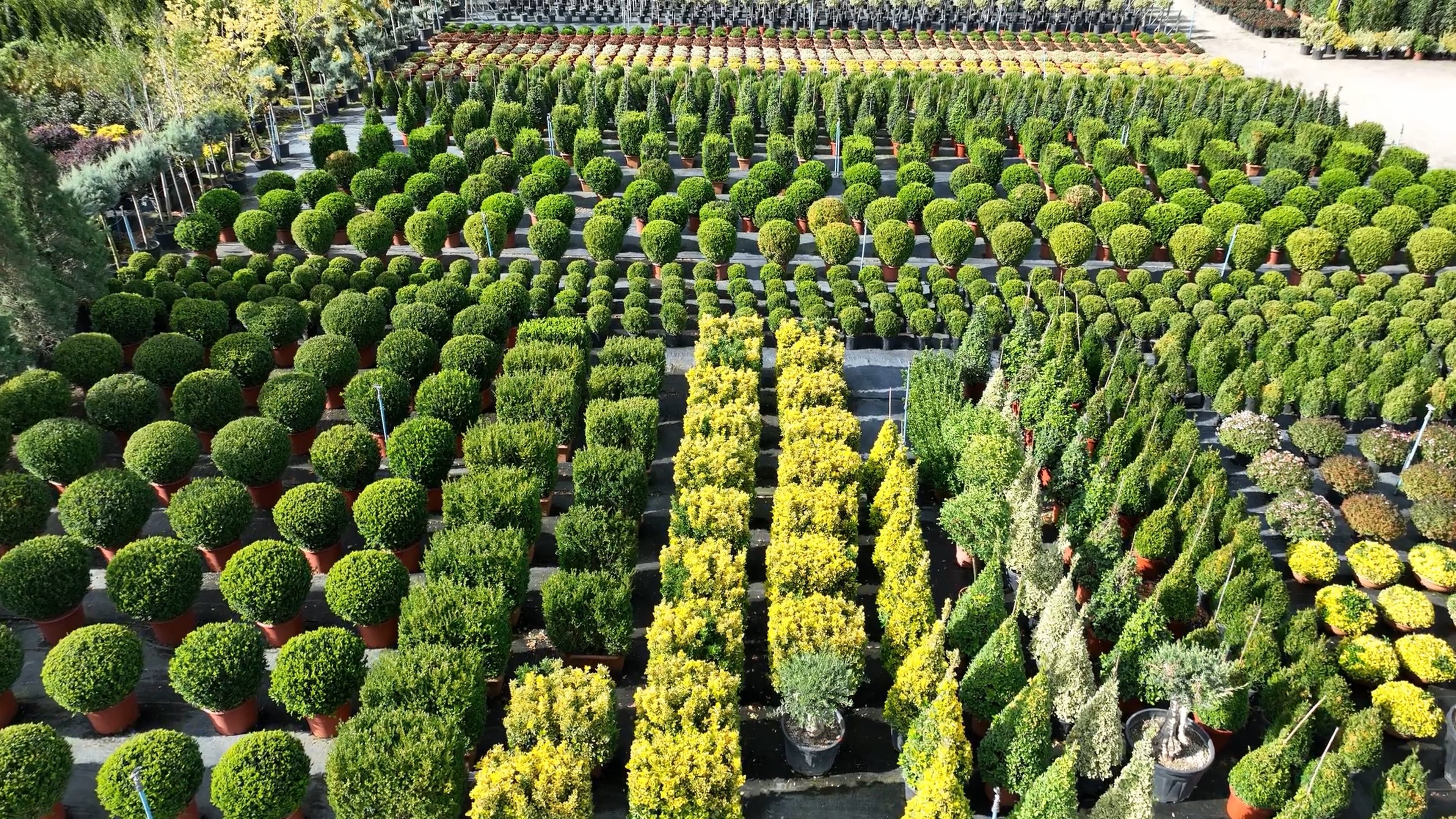 Nursery video