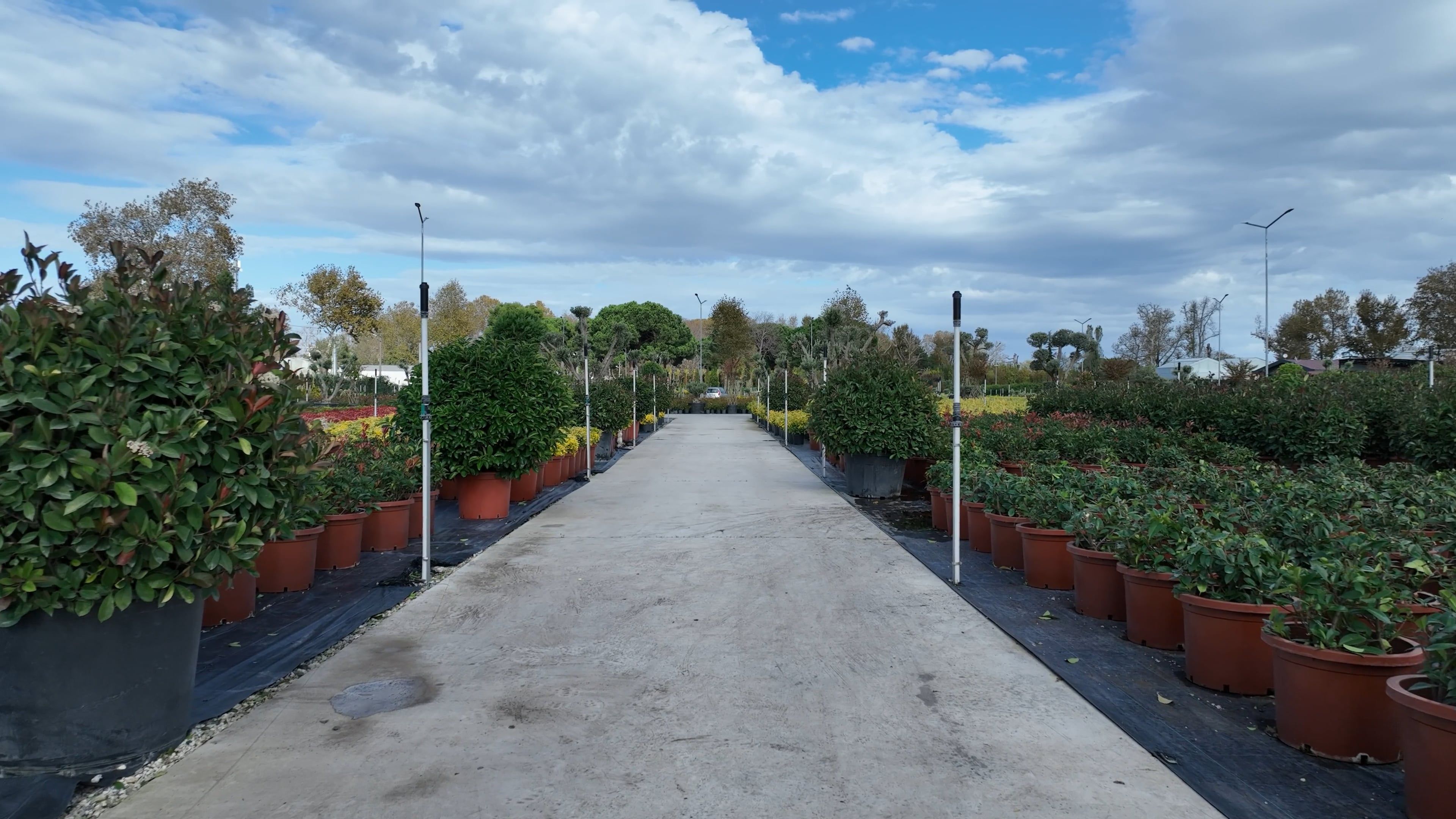 A row of potted plants in a nursery Free Stock Video Footage, Royalty ...