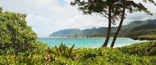 Beach front hawaii island
