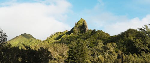 Tree covered mountain on hawaiian island