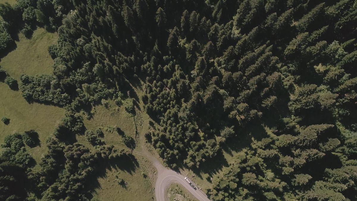 Drone Shot of Forest With River Free Stock Video Footage, Royalty-Free ...