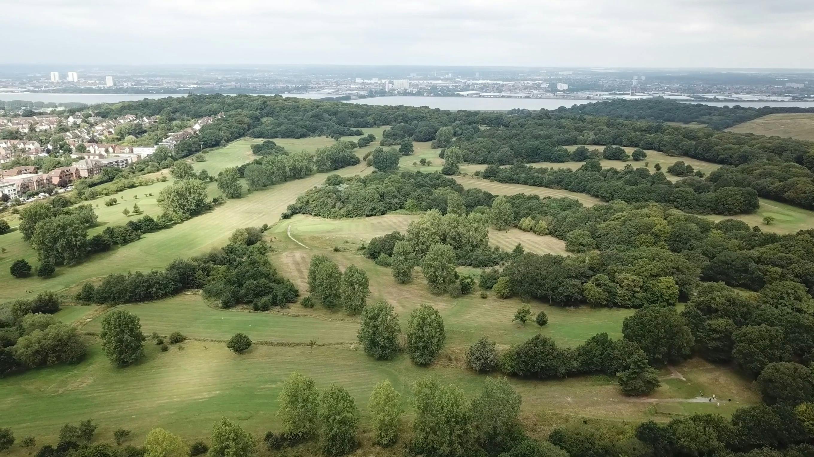 Chingford, Epping forest and London drone view Free Stock Video Footage