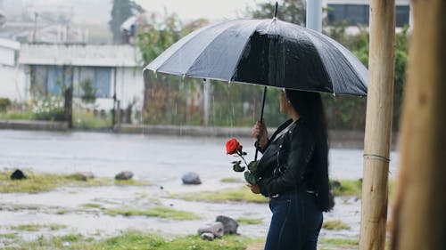 A girl in a raining rain with a rose and a umbrella with cars around