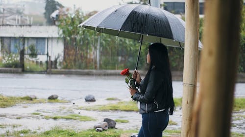 A sad girl in a raining rain with a rose and a umbrella