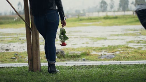 A woman with a rose in a raining day with a rose and sad