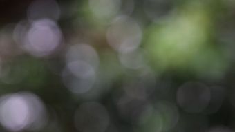 模糊的字免费下载高清视频免费下载视频素材
