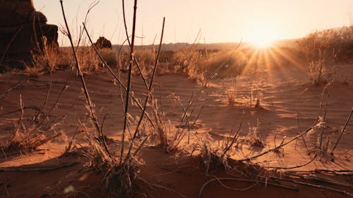 Golden Sunrise In Western Desert Landscape