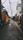 rain street