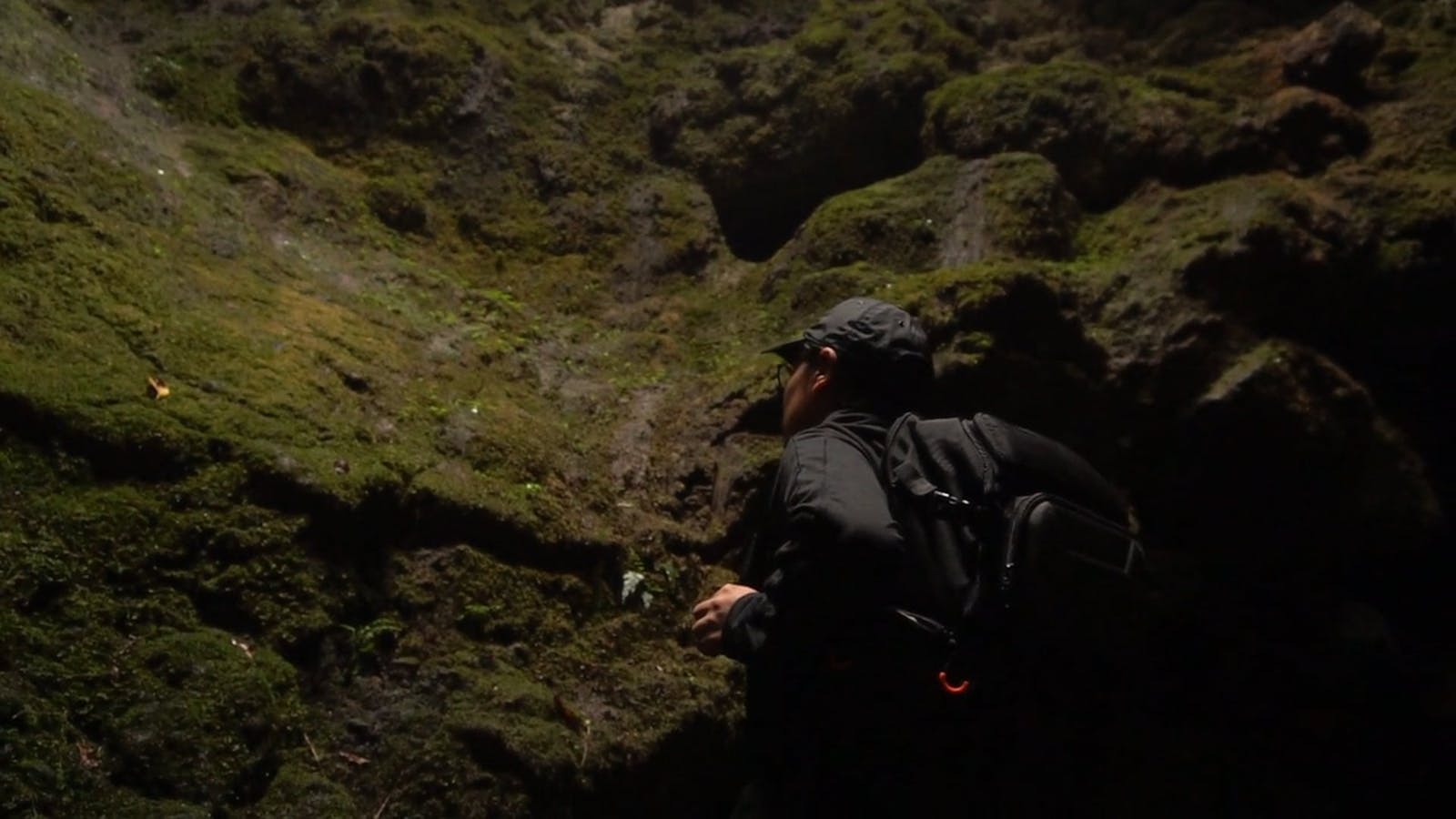 Hidden Camera Videos, Download The BEST Free 4k Stock Video Footage