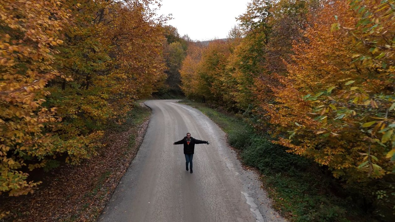A person walking down a road in the fall Free Stock Video Footage ...