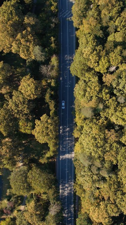 An aerial view of a road with trees Free Stock Video Footage, Royalty ...