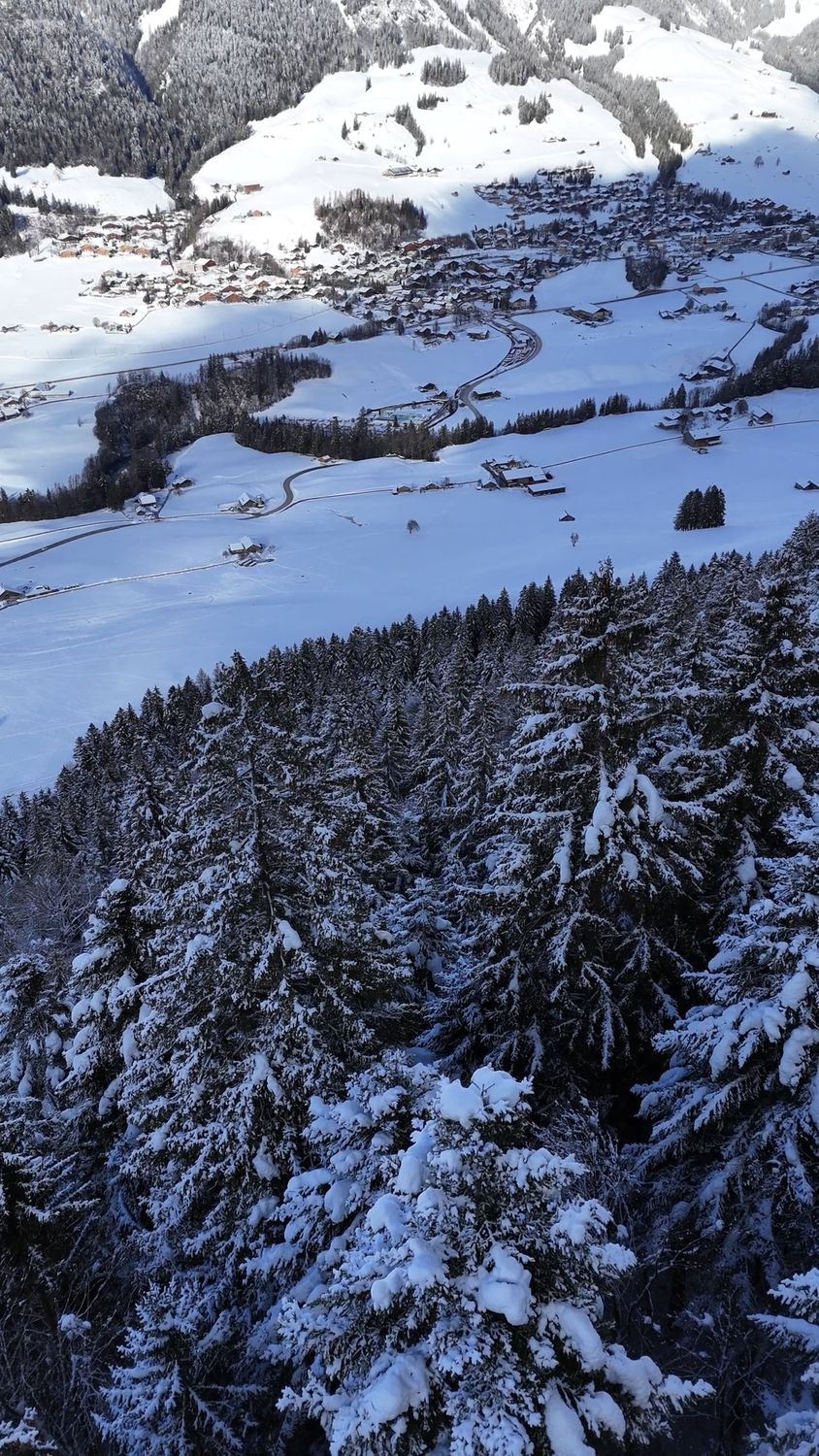 A photo of a snowy mountain with trees Free Stock Video Footage ...