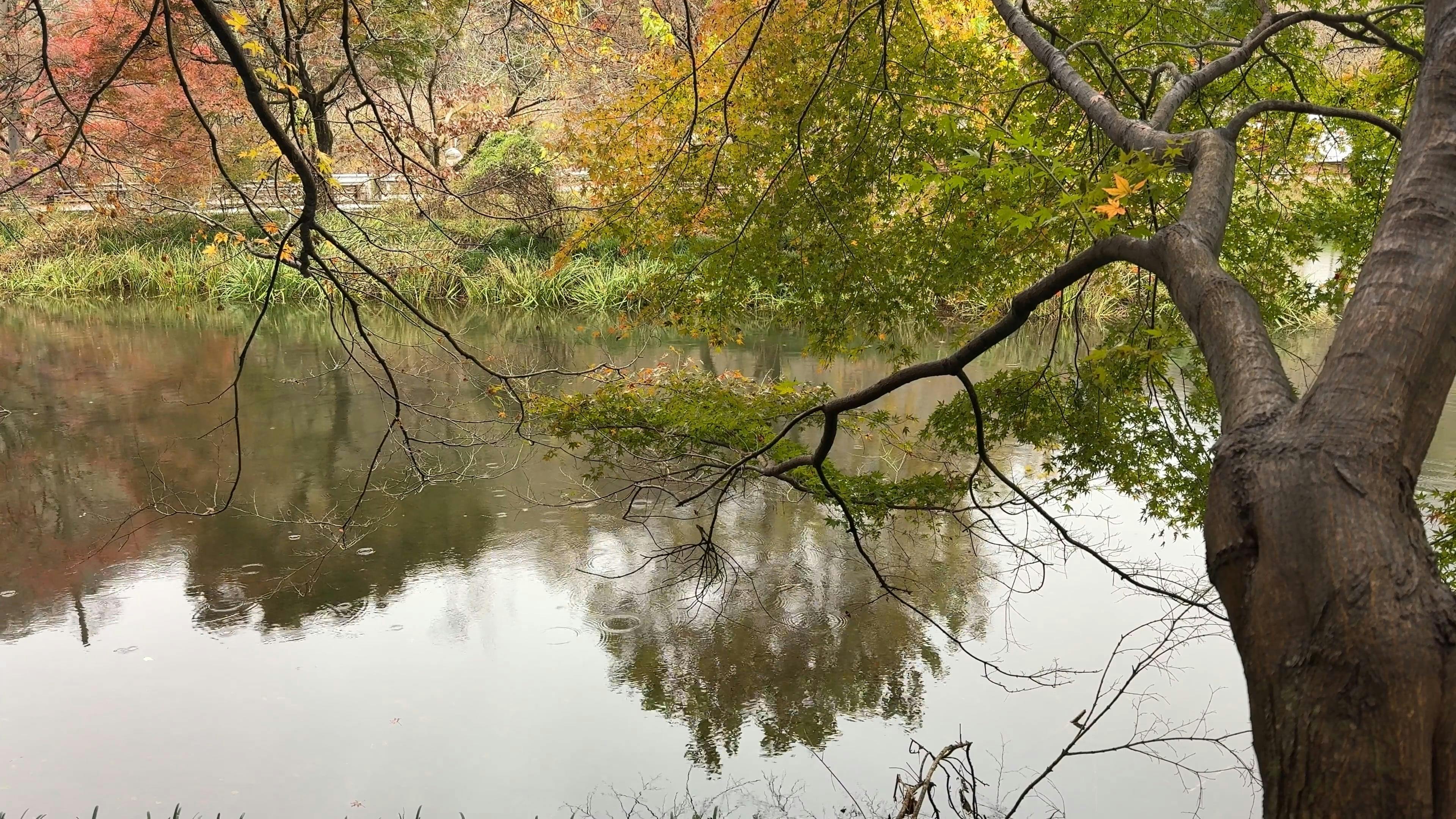 Video by iloveKorea TV