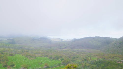Endless foggy landscape of the Terceira Island nature