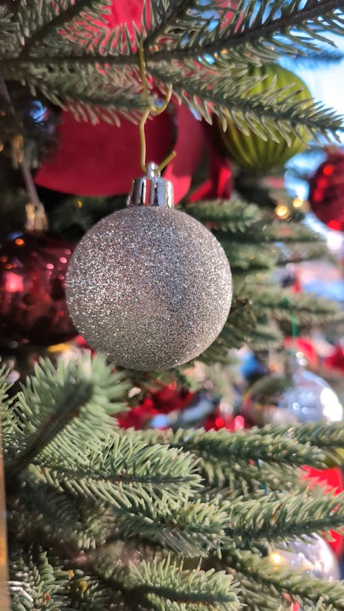 Silver Christmas Ornament
