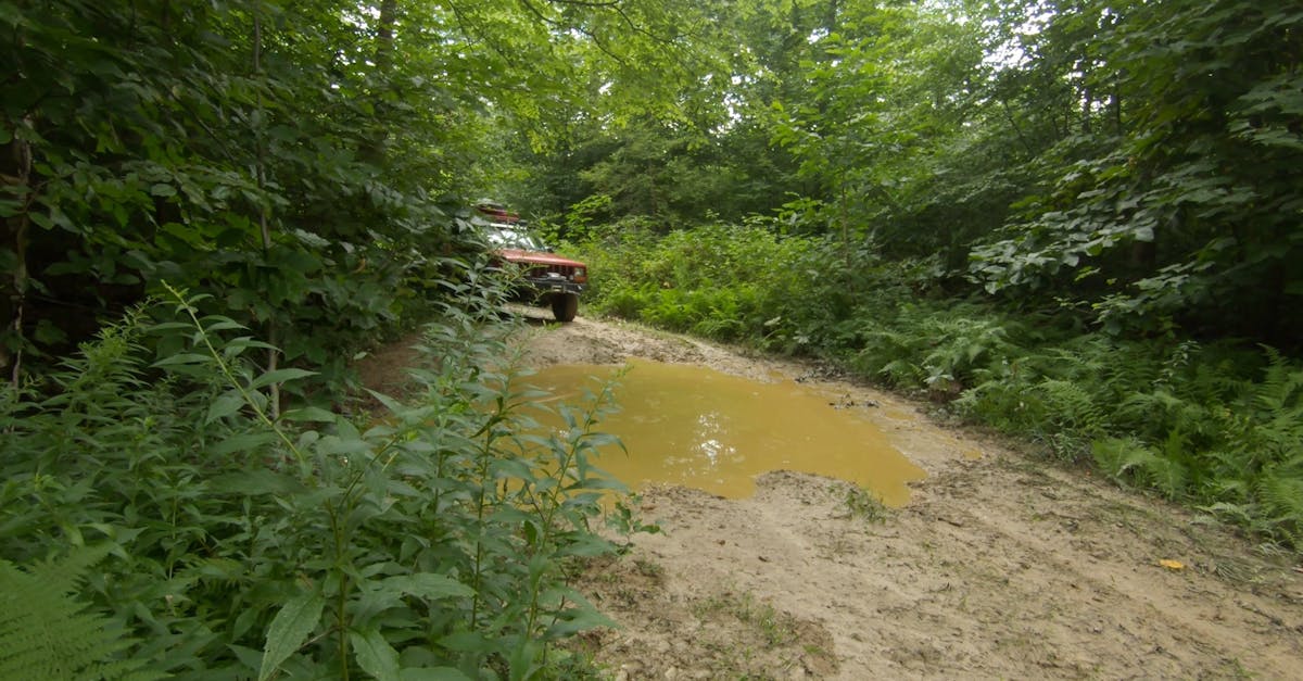 Mud Mania 4x4 Takes a Wild Dip Free Stock Video Footage, Royalty-Free ...