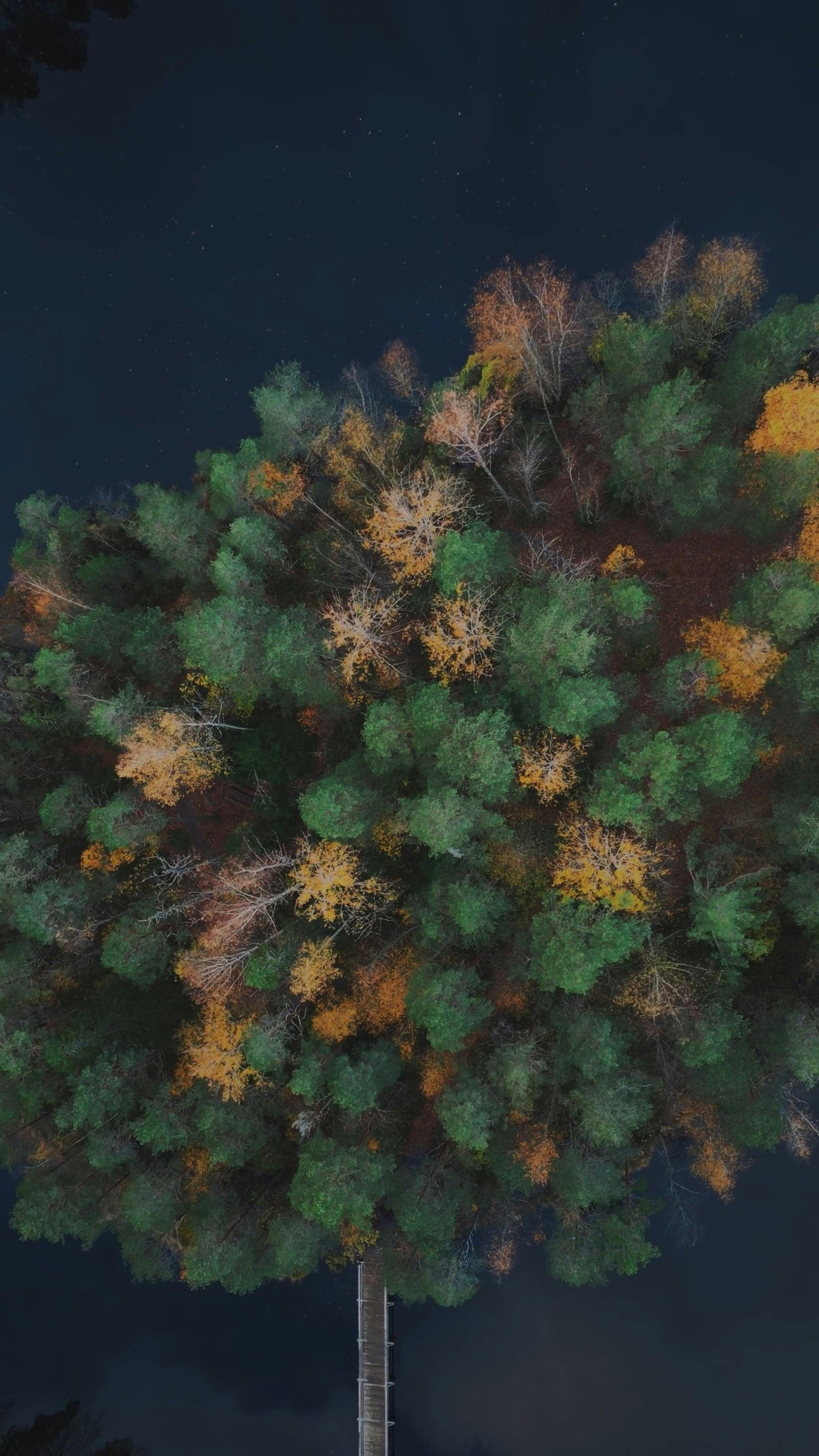 Video by Fanny Hagan-Södervall