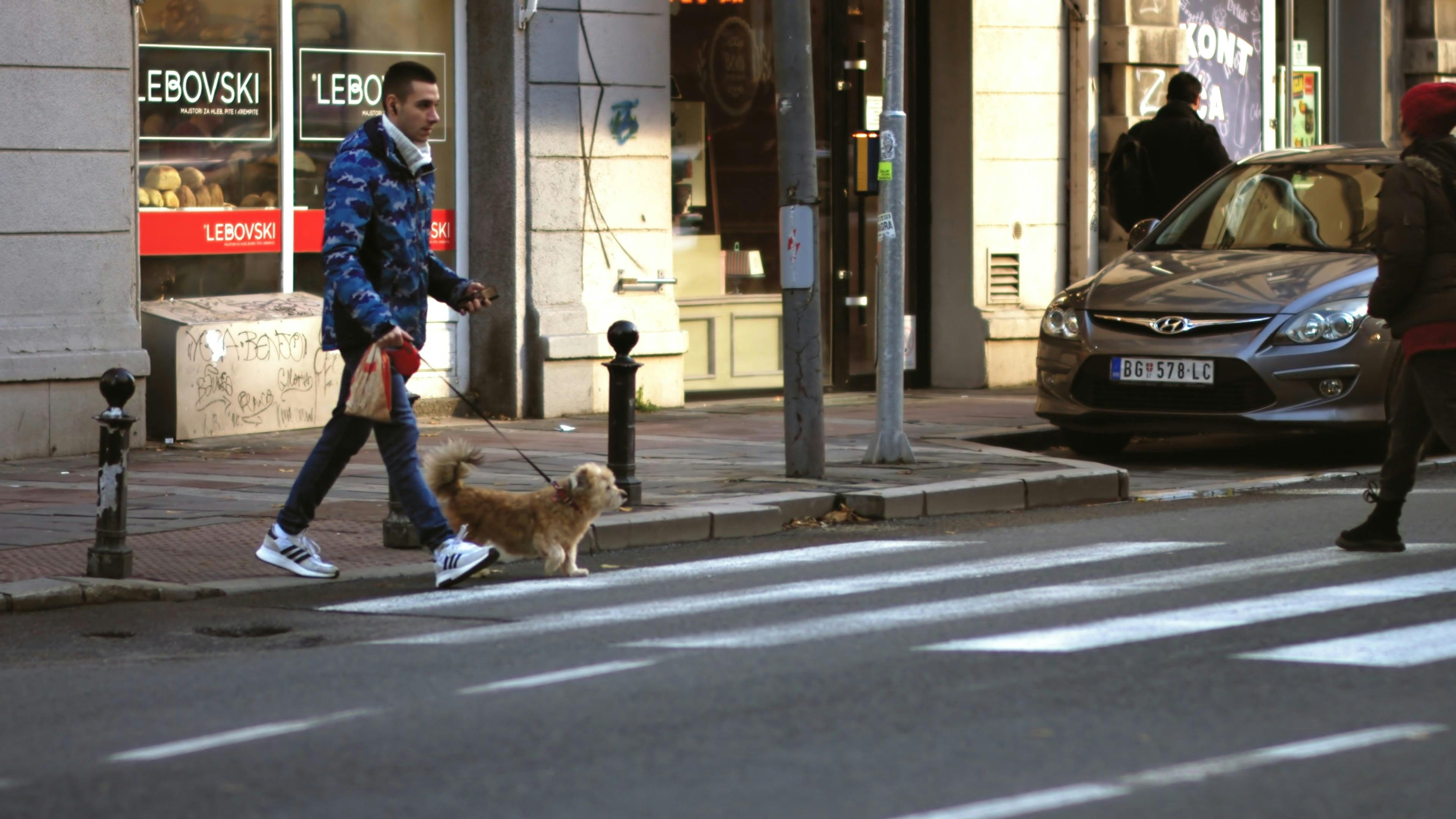 a man walking his dog on a busy city street 19538628