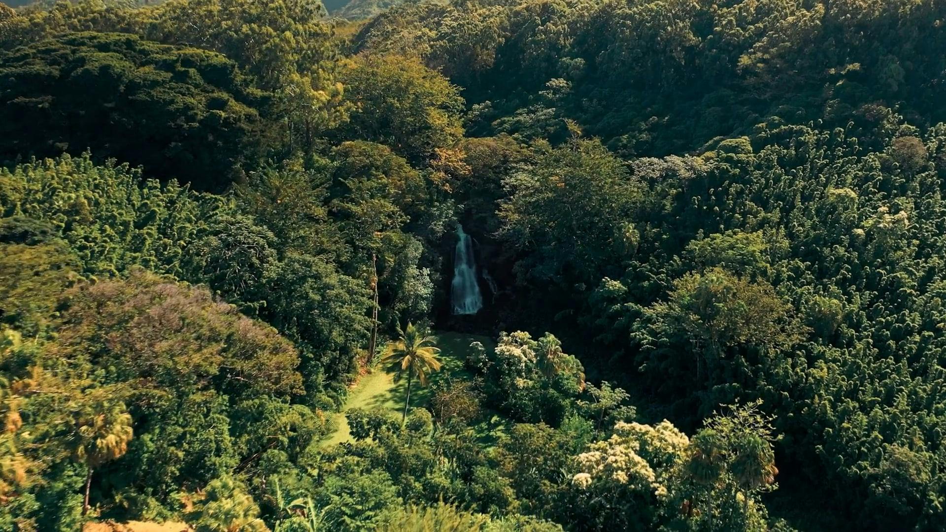 Video by Lukas Rodriguez