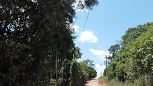 CAMINHÃO RURAL