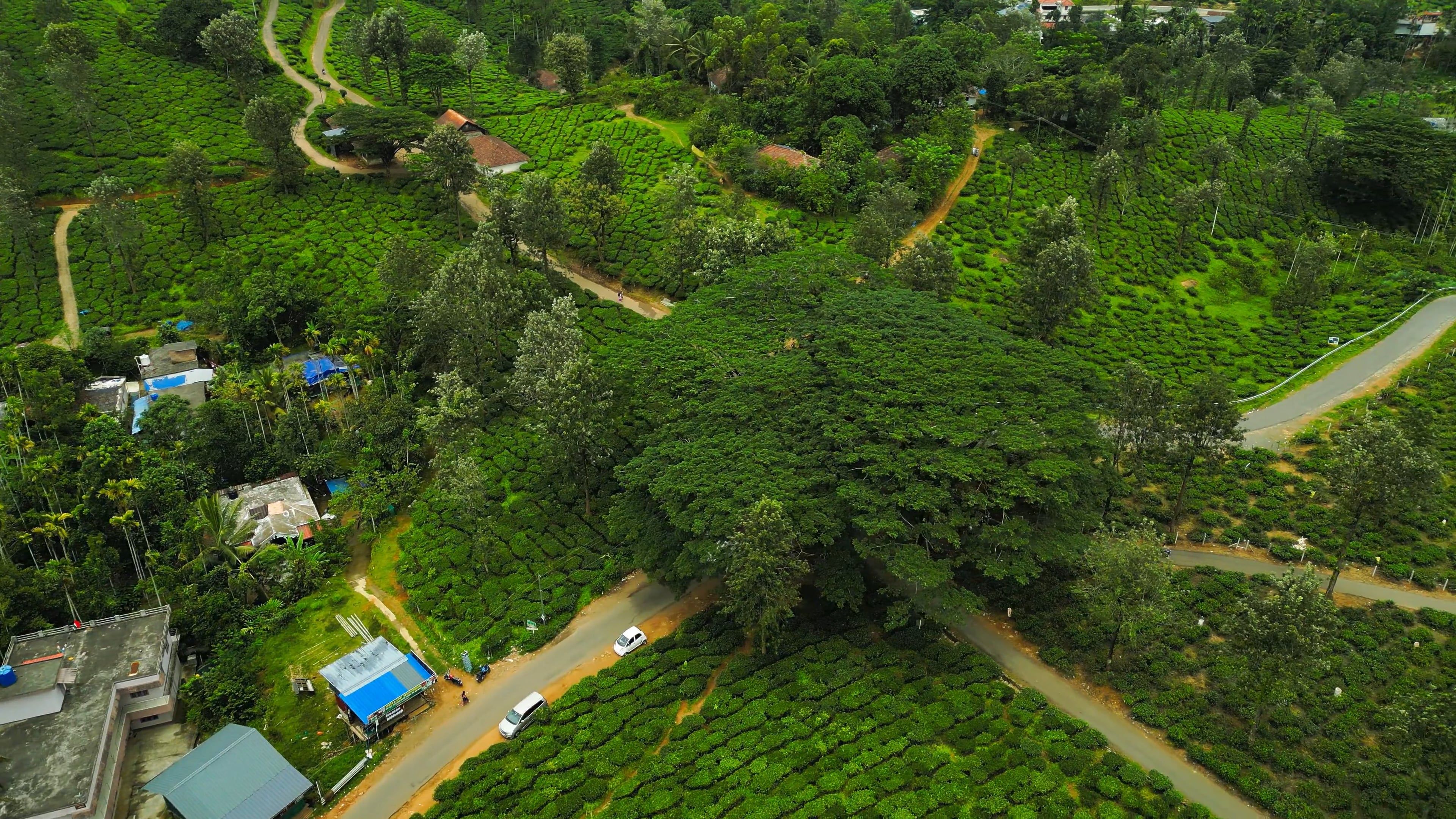 An aerial view of a village in the middle of a forest Free Stock Video ...